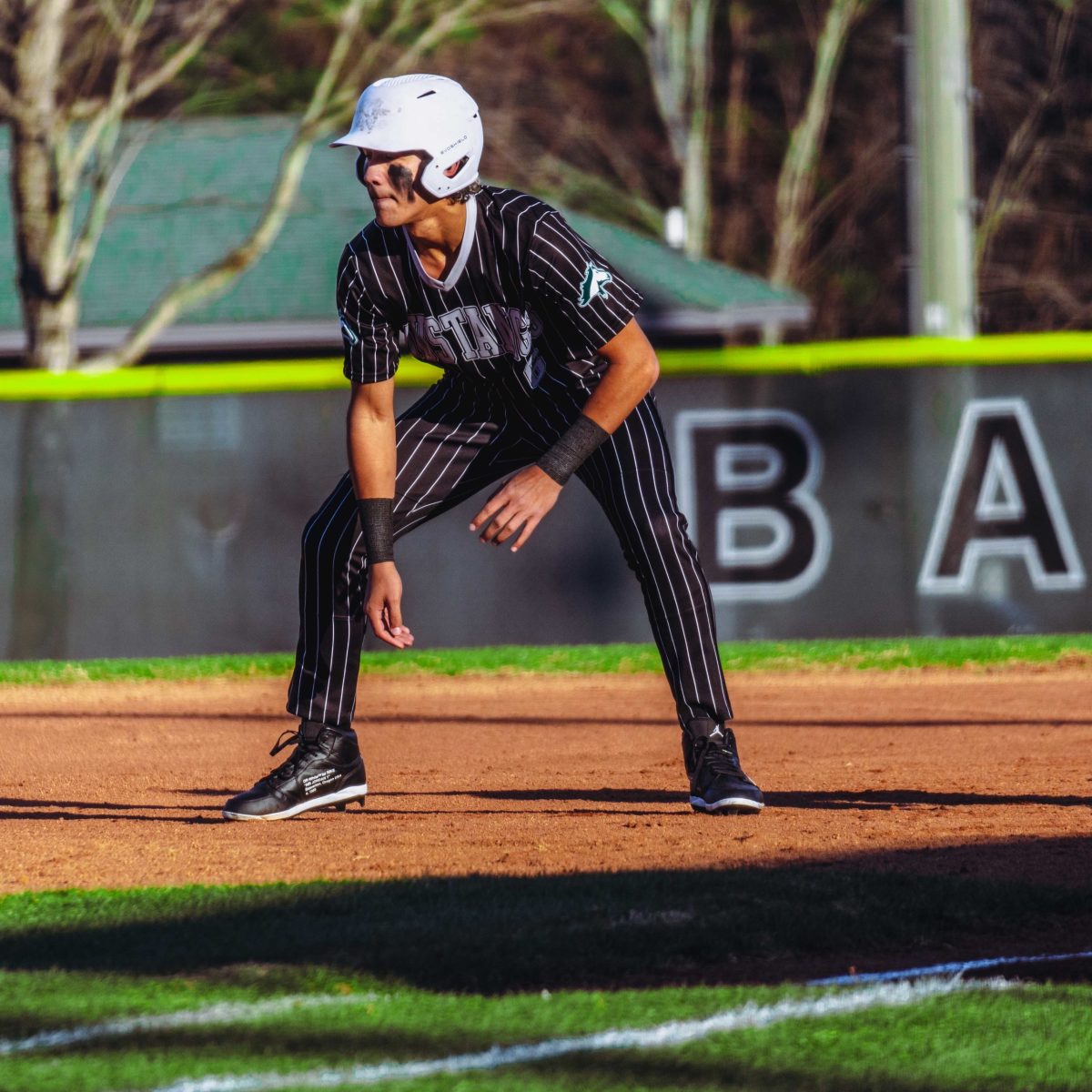 Willie_Prince_Kennesaw_Mountain_baseball.14
